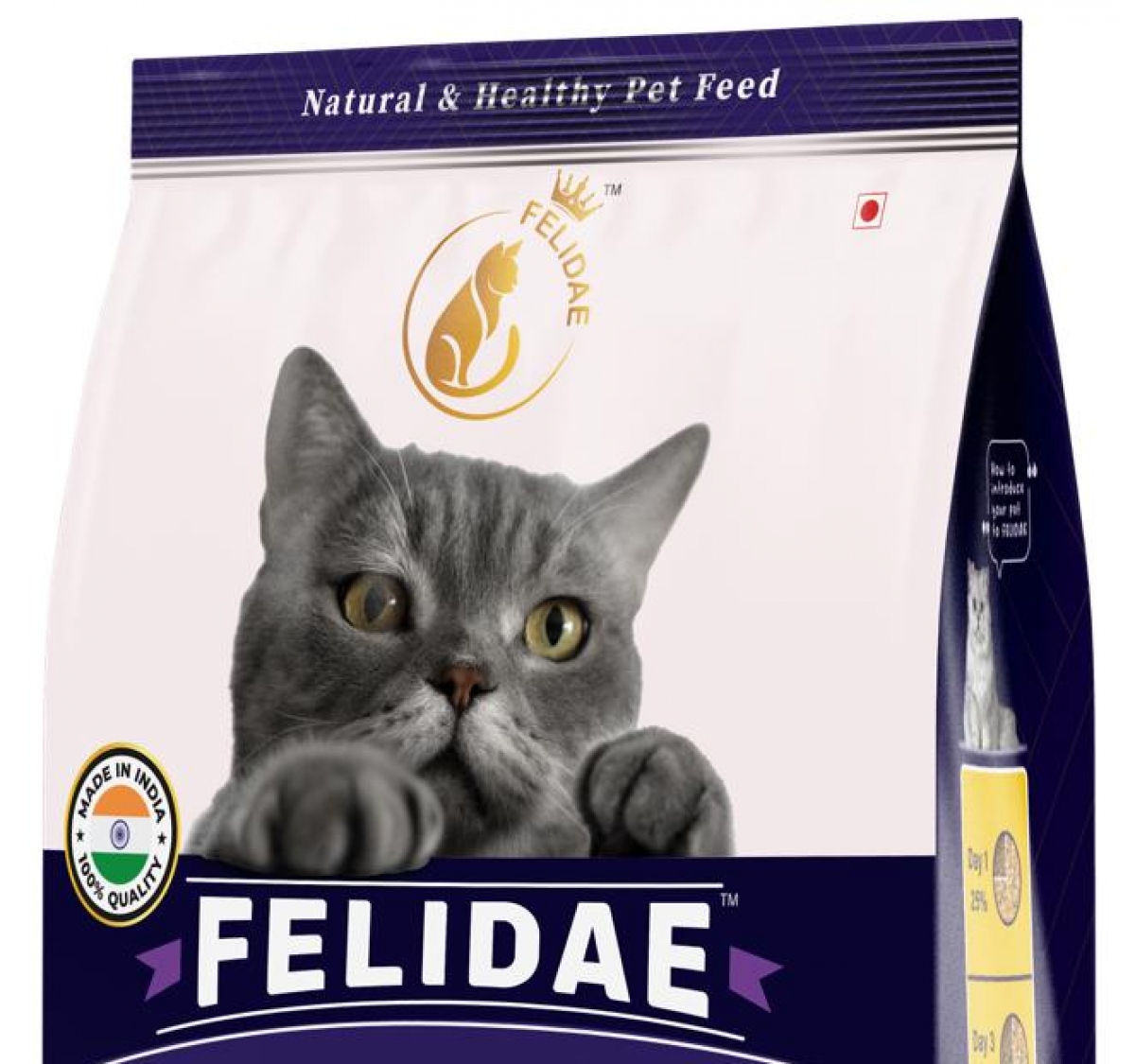 Felidae Adult Cat